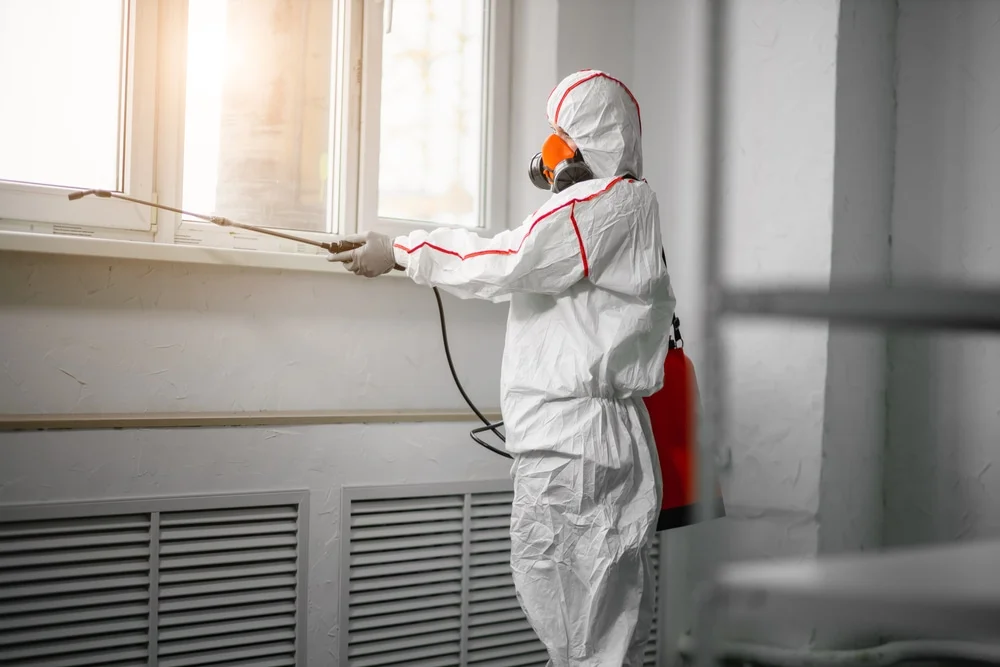 Professional mold remediation services in Biddeford, ME